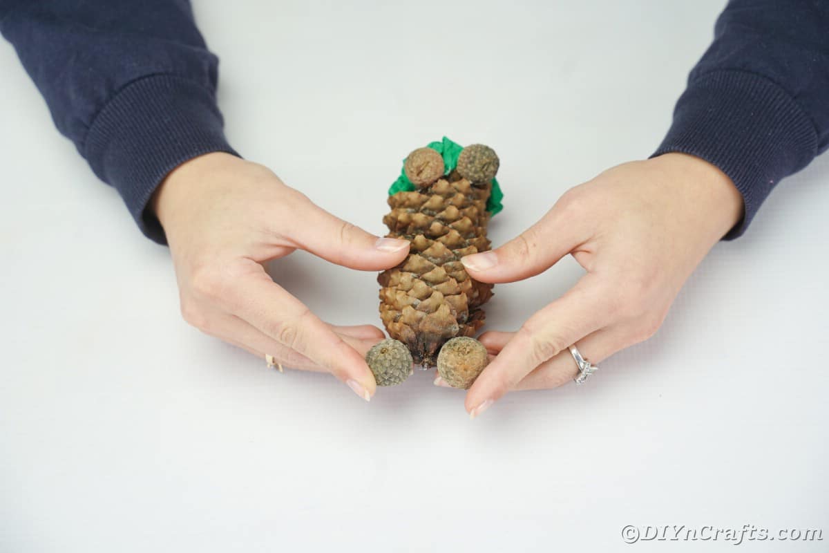 hands holding acorn caps on top of pinecones