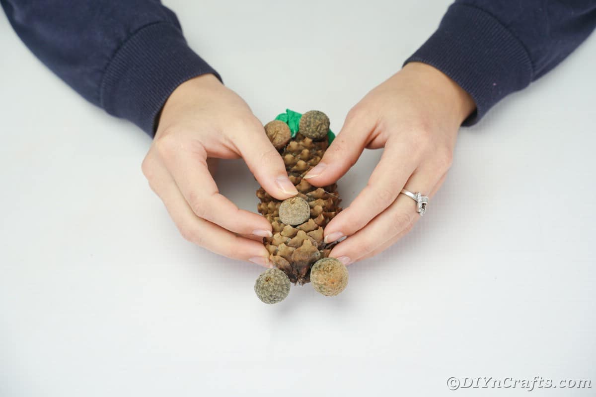 hands gluing acorn caps onto pinecone