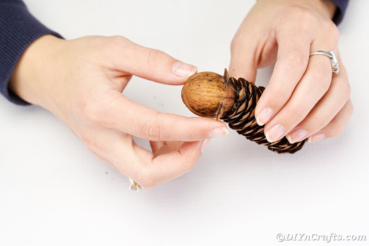 attaching pecan to end of pinecone