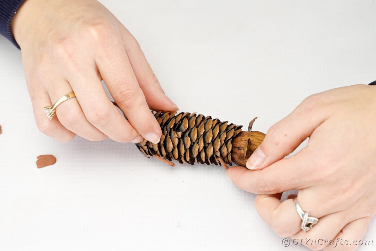 Hand gluing felt ears to top of pinecone