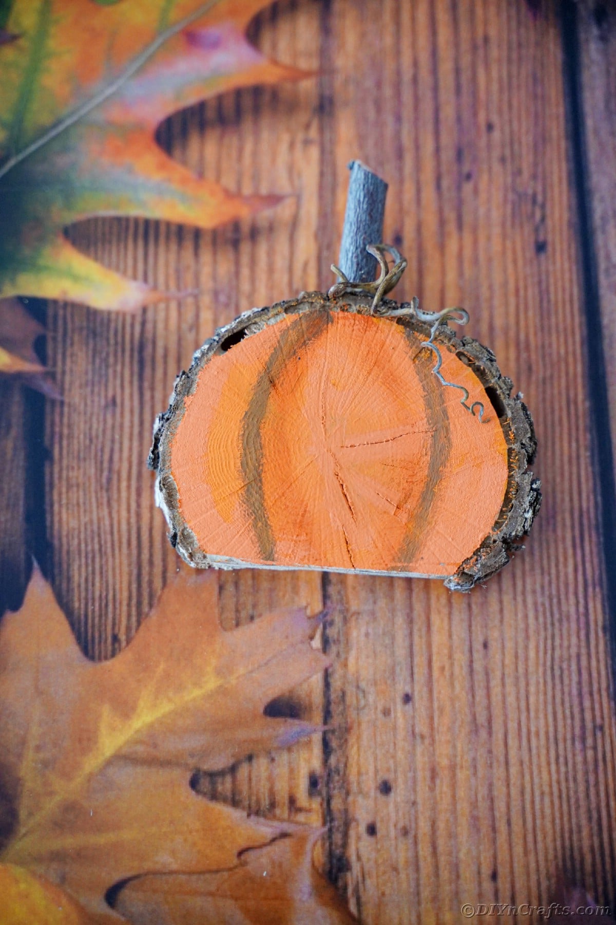 Image from above wood slice pumpkin on table