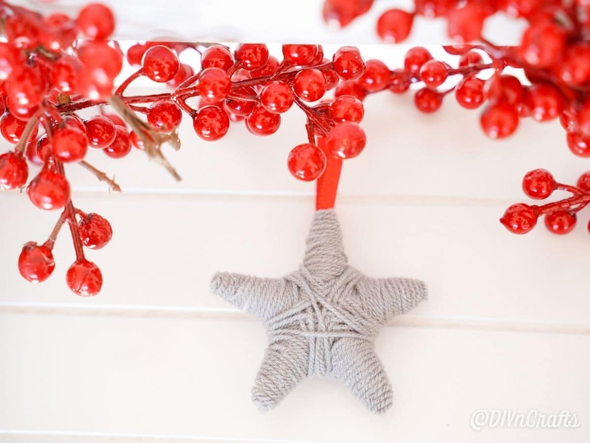 gray star on white table below red berries