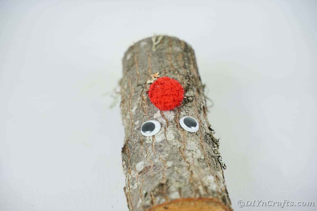 log on table with eyes and red pom pom nose