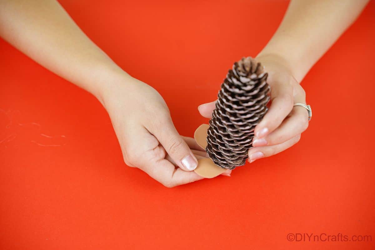 brown feet being glued on the bottom of a pinecone