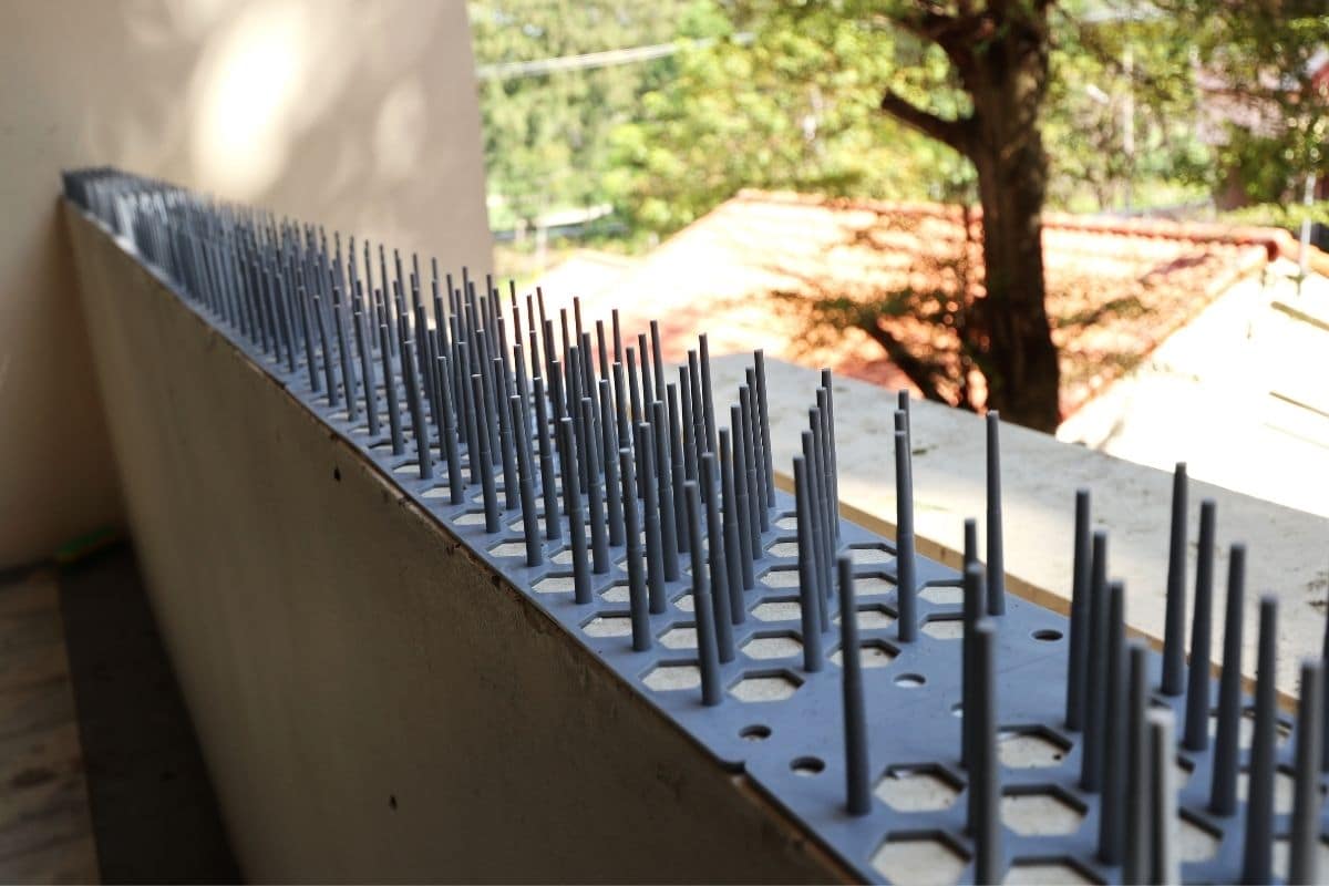 bird spikes on the railings in the balcony