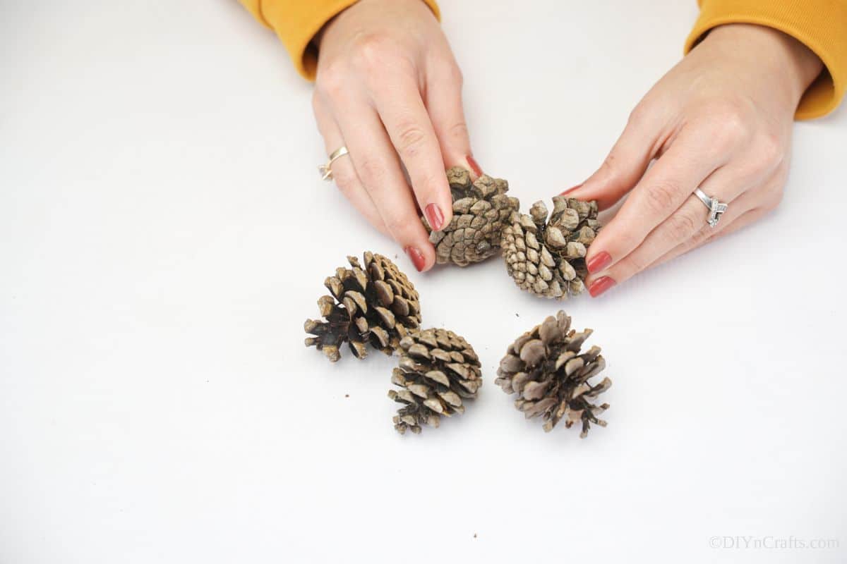 hand arranging pinecones into star shape