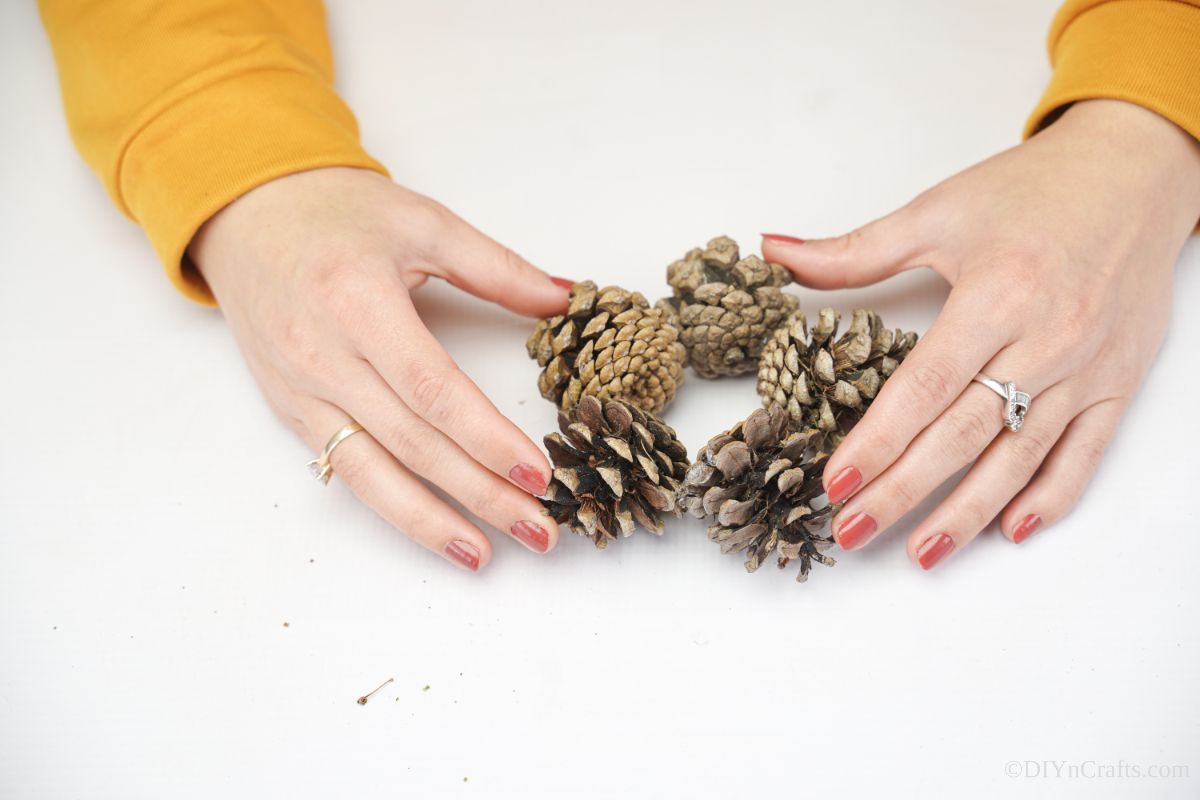 hand holding pinecones together in shape of a star