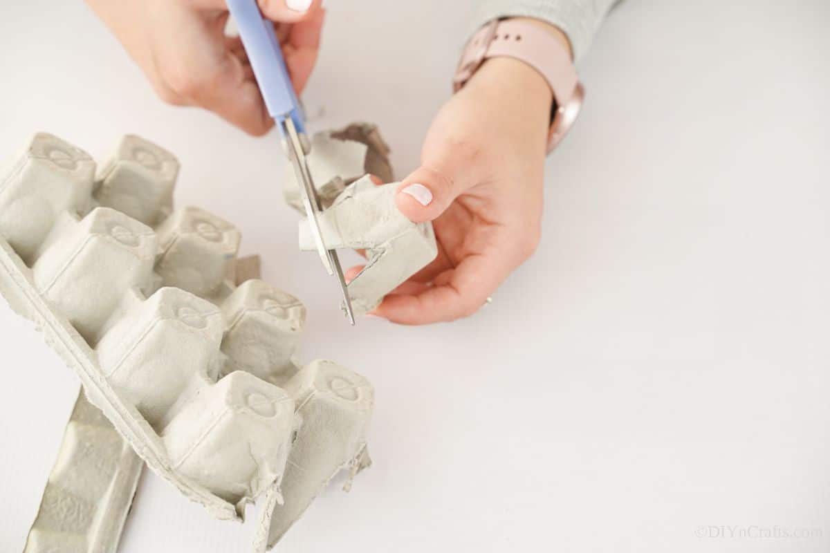 blue scissor cutting egg carton apart