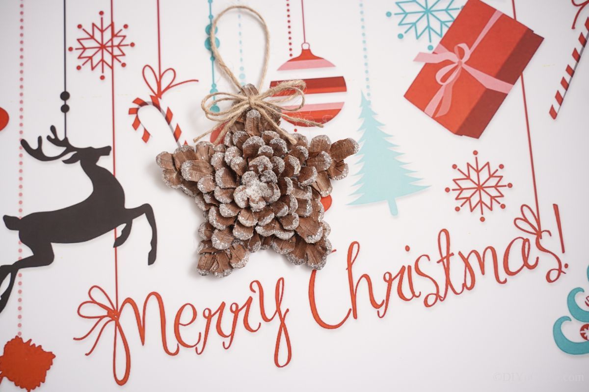 merry christmas holiday paper holding pinecone star
