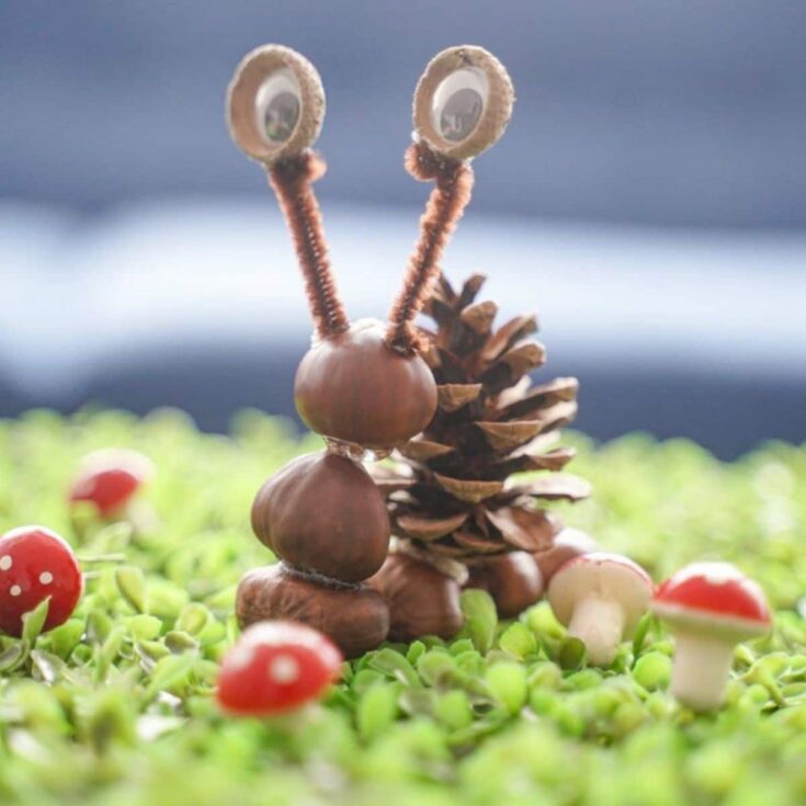 sanil made of nuts and pinecone on clover with mini mushrooms