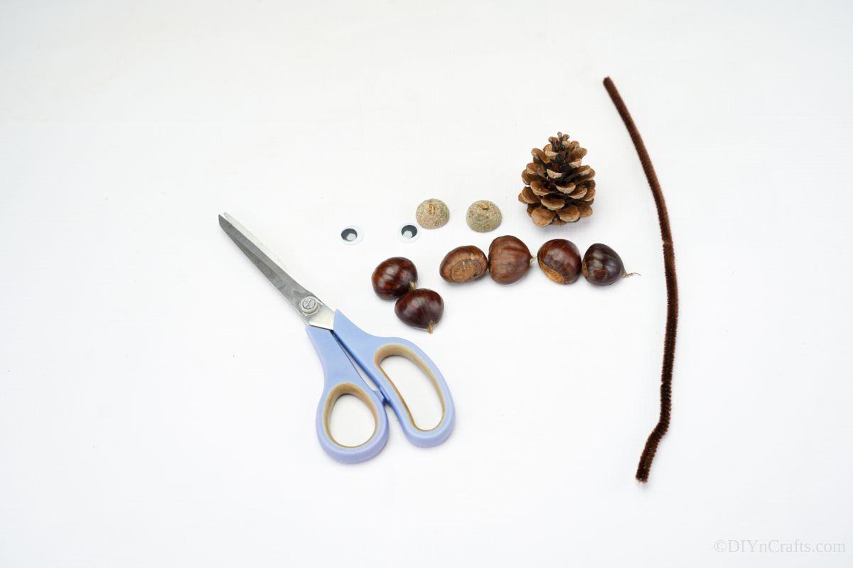 scissors pinecone acorns and pipe cleaner on white table
