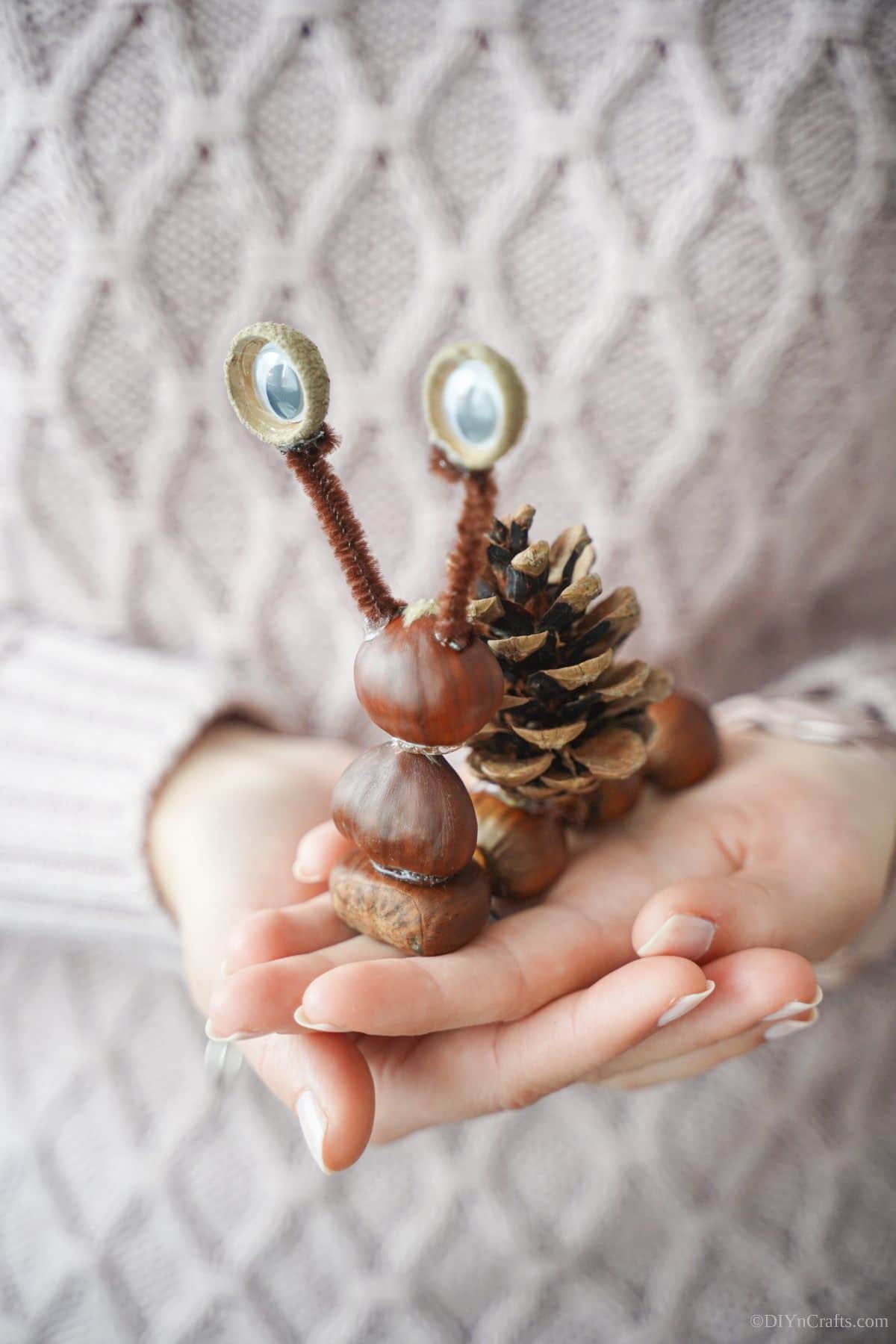 fake snail made of nuts and pinecones held in womans hand