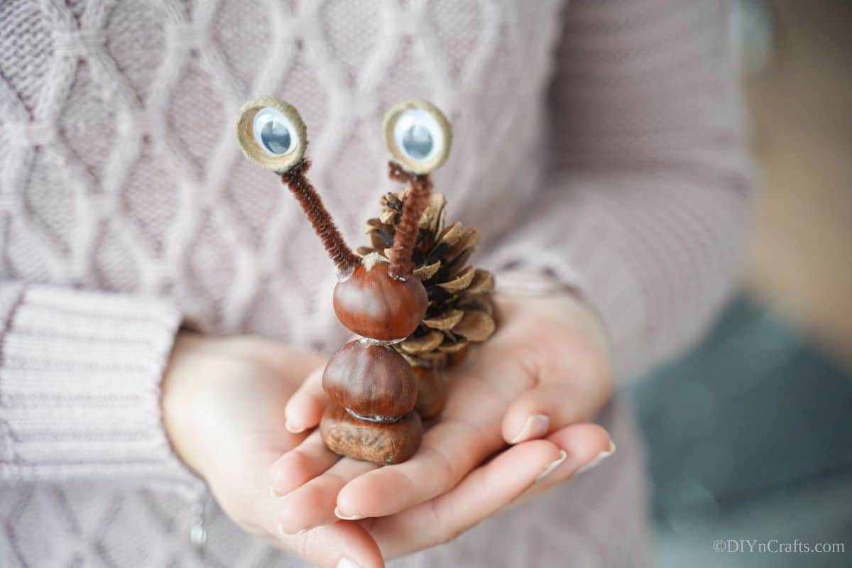 woman holding pinecone snail