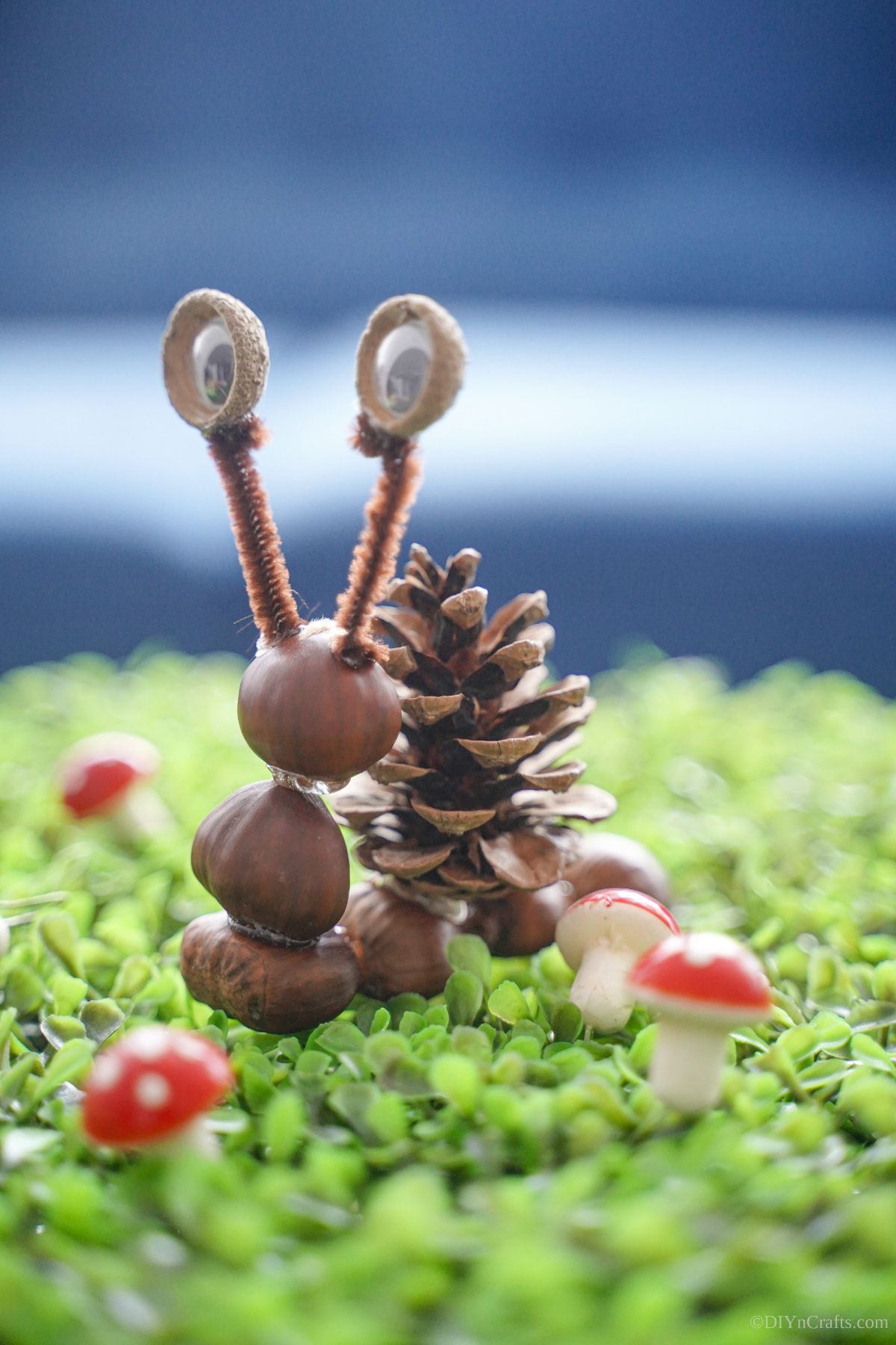 pinecone snail on clover by mini mushrooms