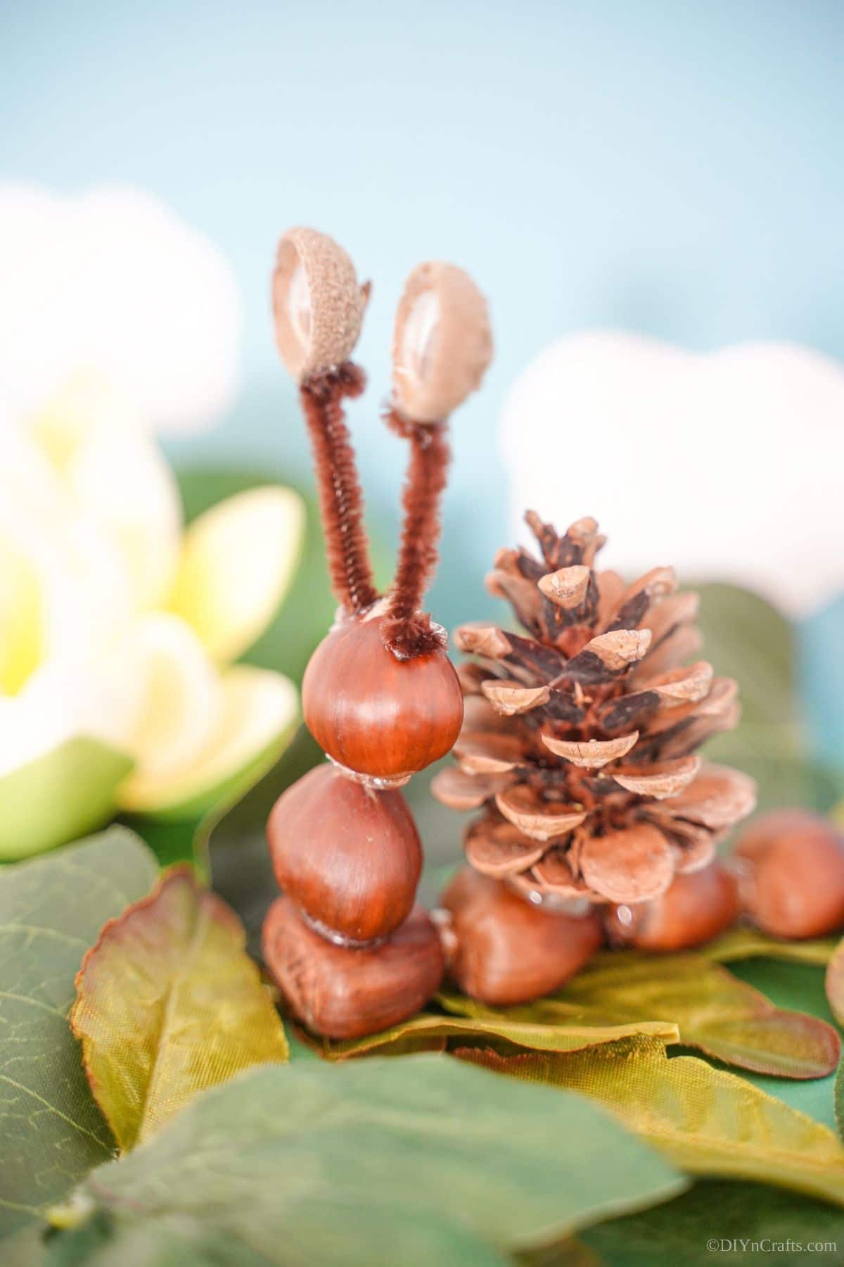 chestnut and pinecone nut on fake leaves
