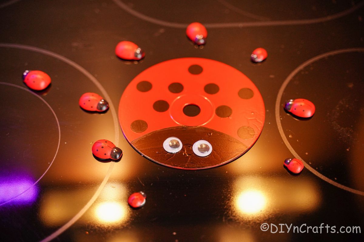 ladybug cd laying flat on black cooktop