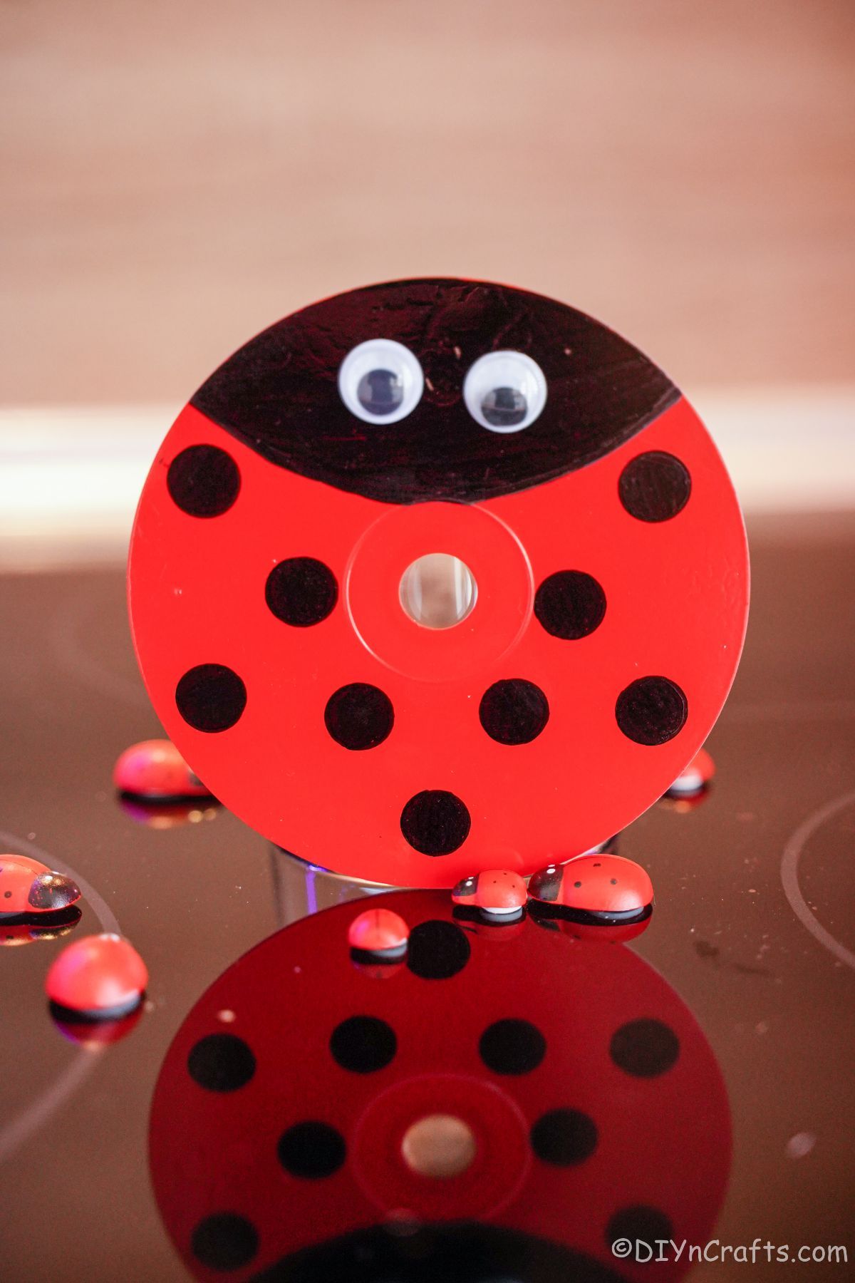 ladybug cd standing on end by mini ladybug rocks on black table