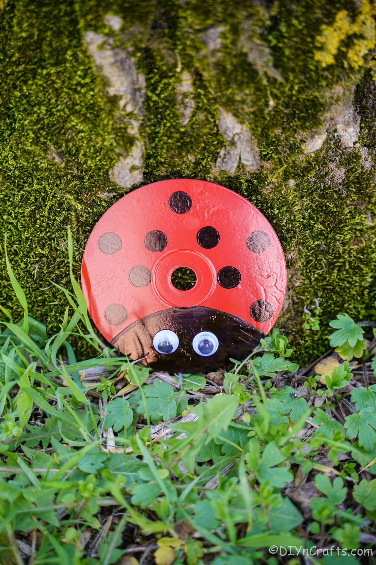 old cd painted like a ladybug leaned against a mossy tree