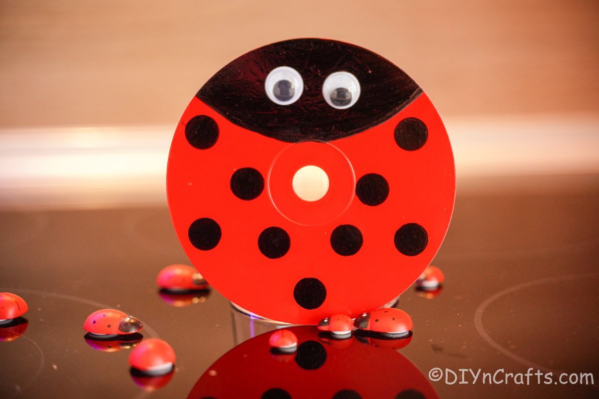 cd ladybug standing on top of cooktop