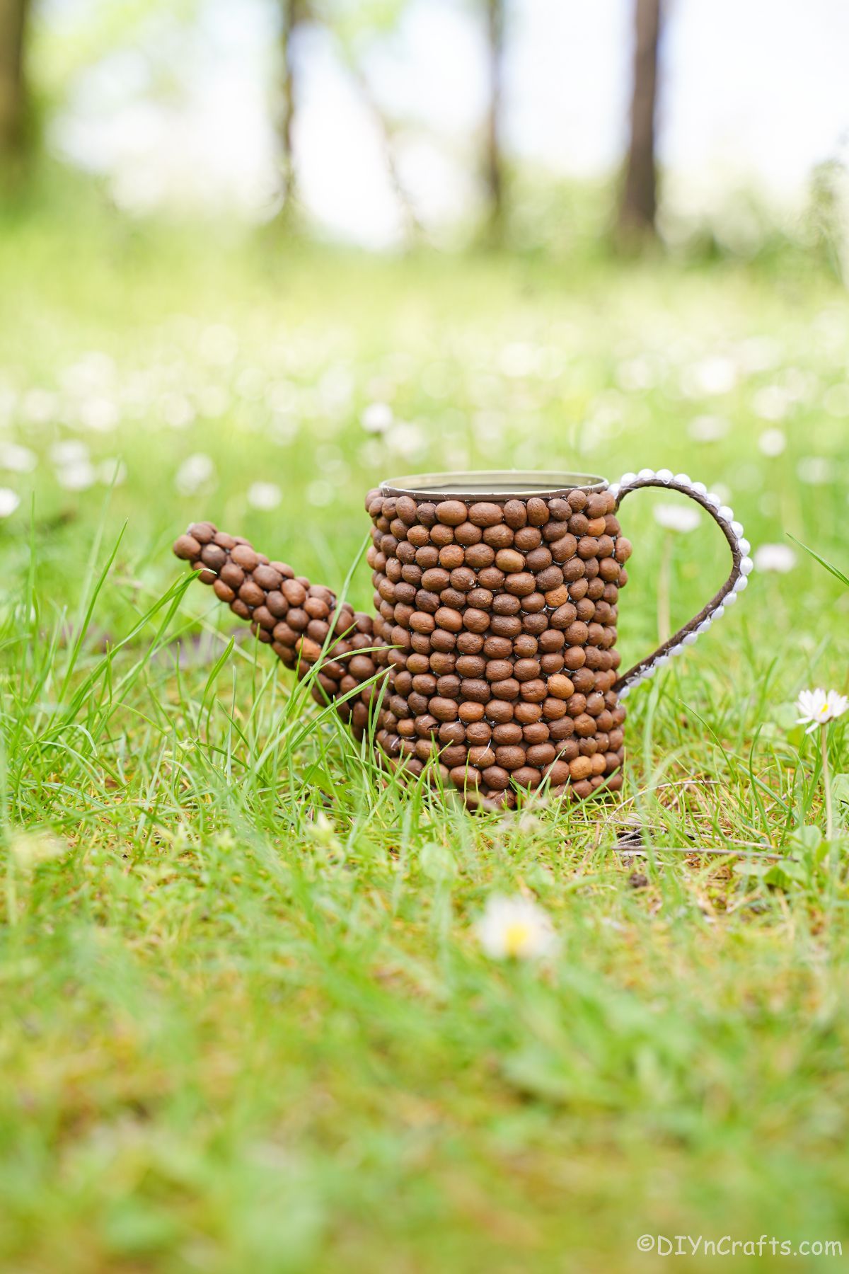 coffee bean covered watering can on grass