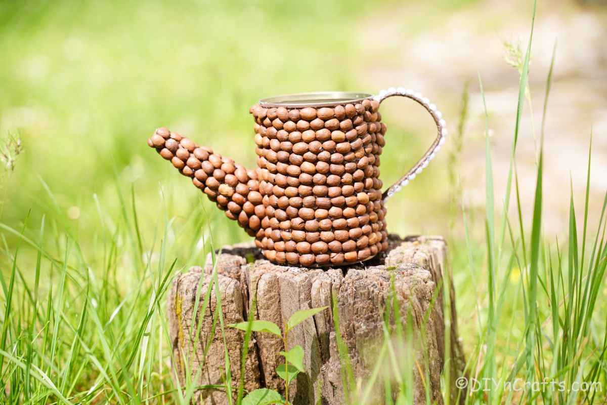 rustic watering can on top of stump 