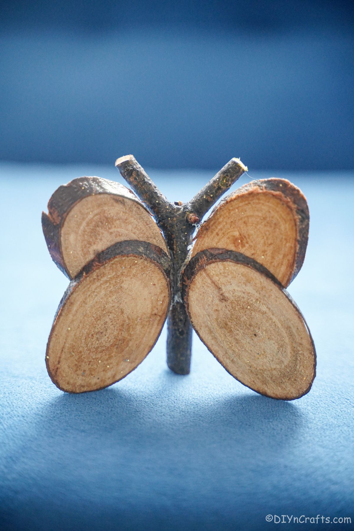 Papillon en tranches de bois sur table bleue