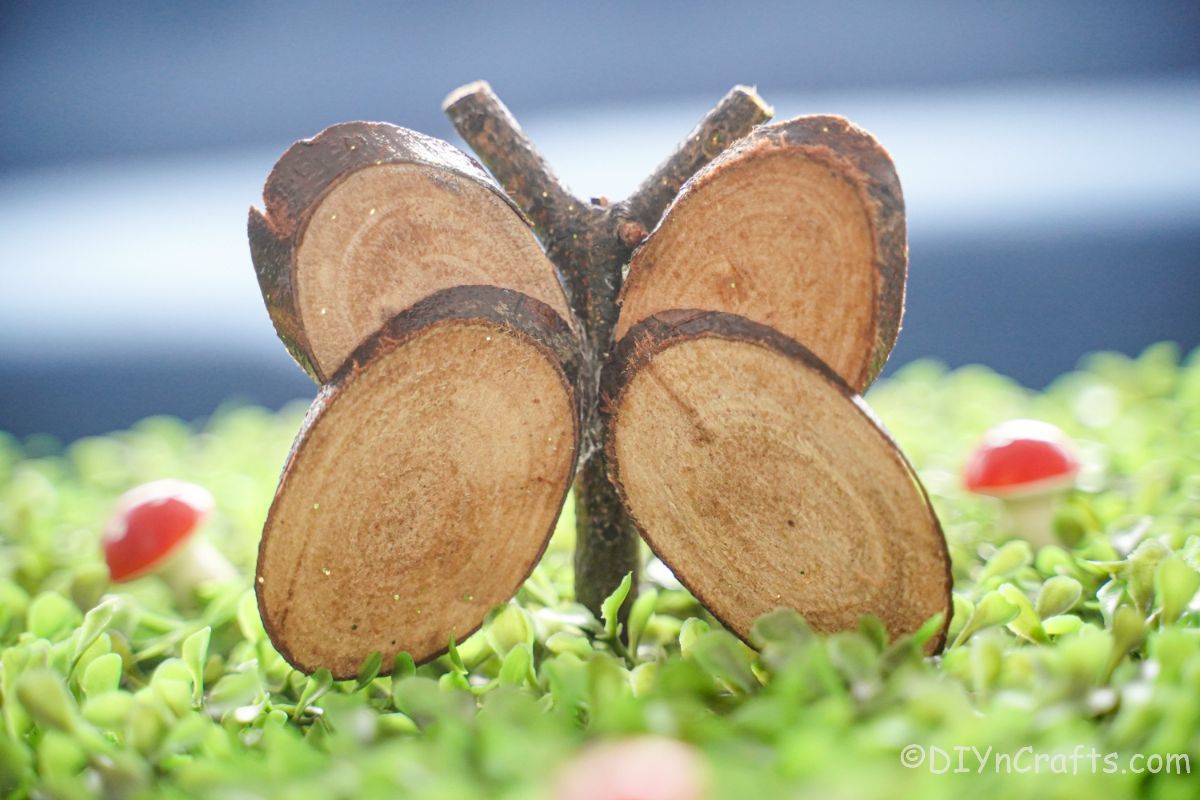 butterfly made of wood slice on grass with red mushrooms