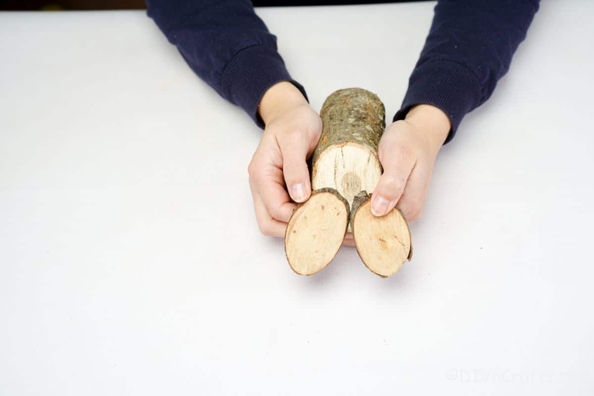 hand holding wood slices on top oflog