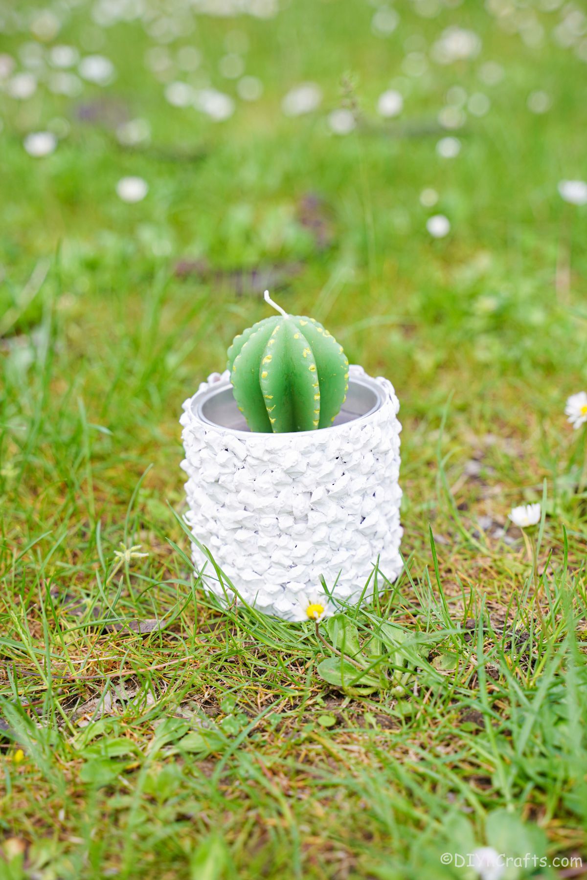 grassy yard with upcycled tin can planter