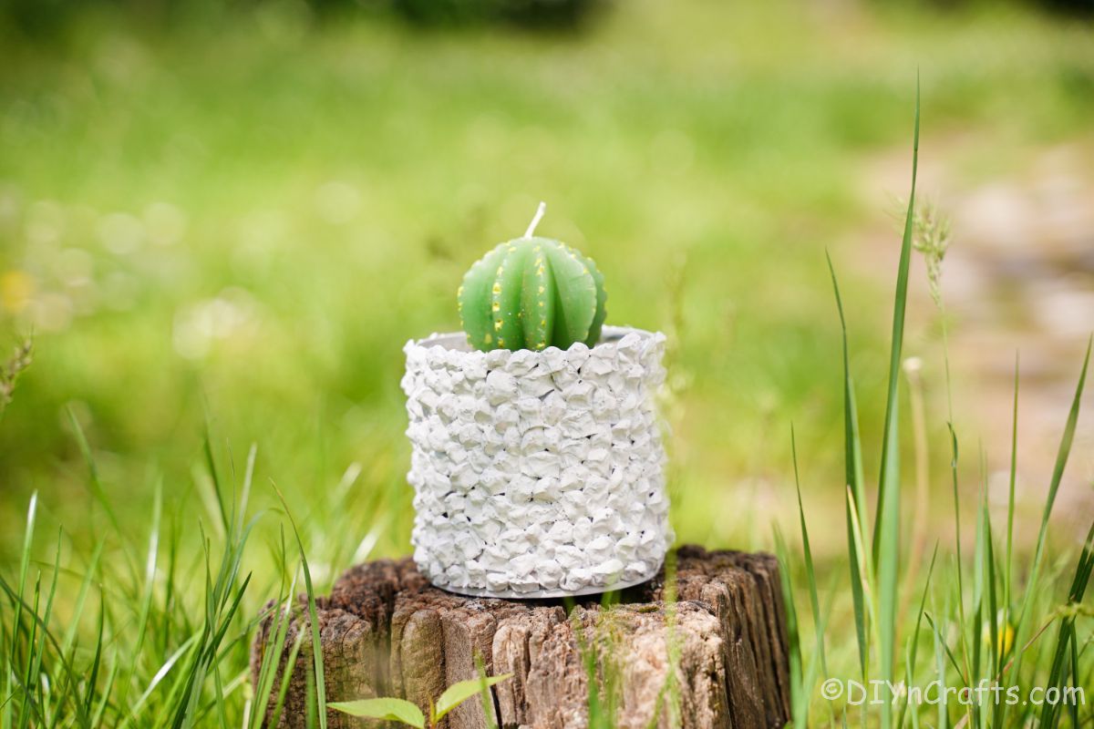 upcycled tin can planter on stump holding a green cactus candle