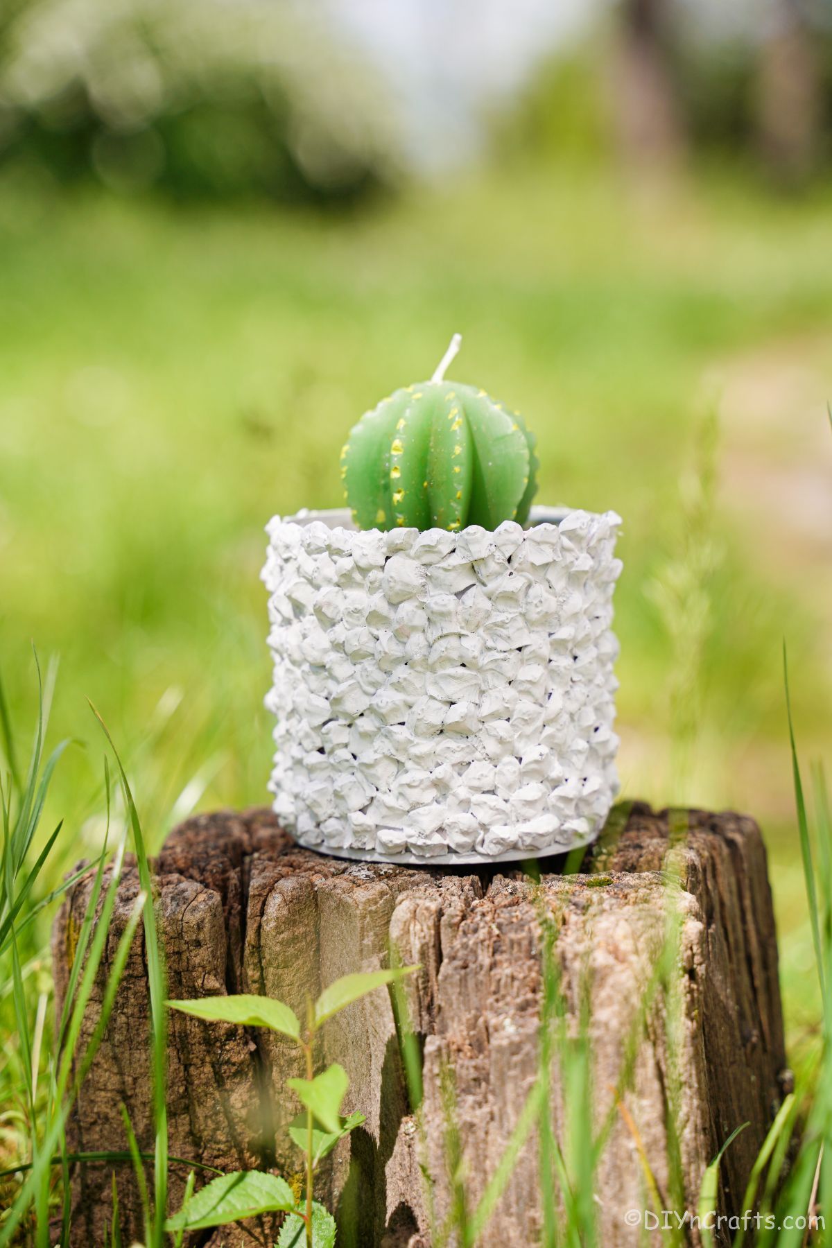 white planter on top of stump in field