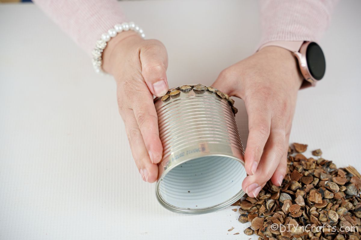 lady holding tin can over pile of pinecone scales