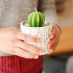 white planter with a green cactus candle on top being held