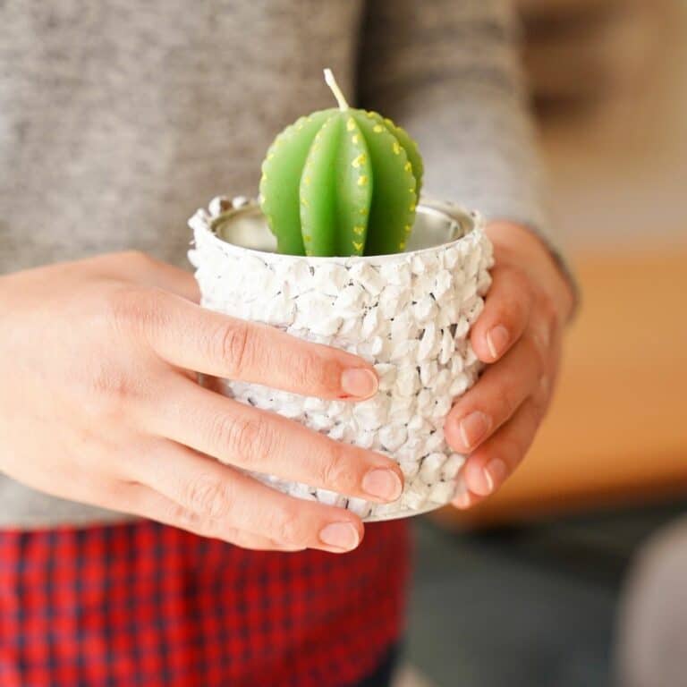 white planter with a green cactus candle on top being held