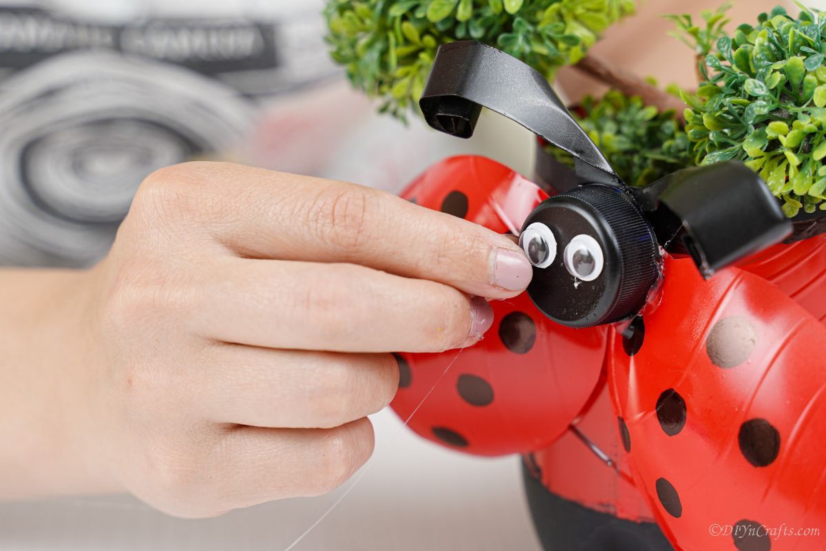 googly eyes being put onto lid of ladybug planter