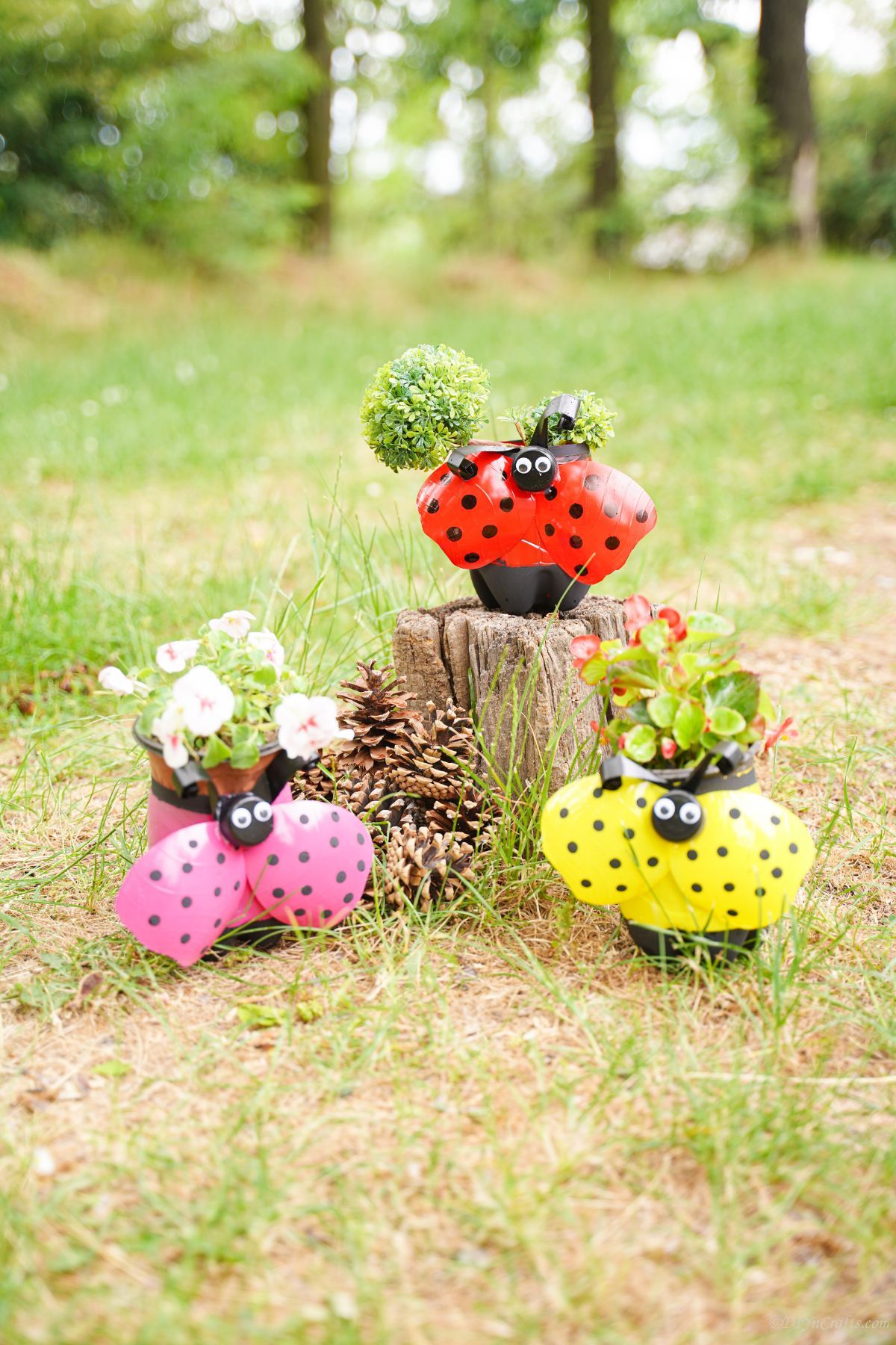 red pink and yellow ladybug planters by stump