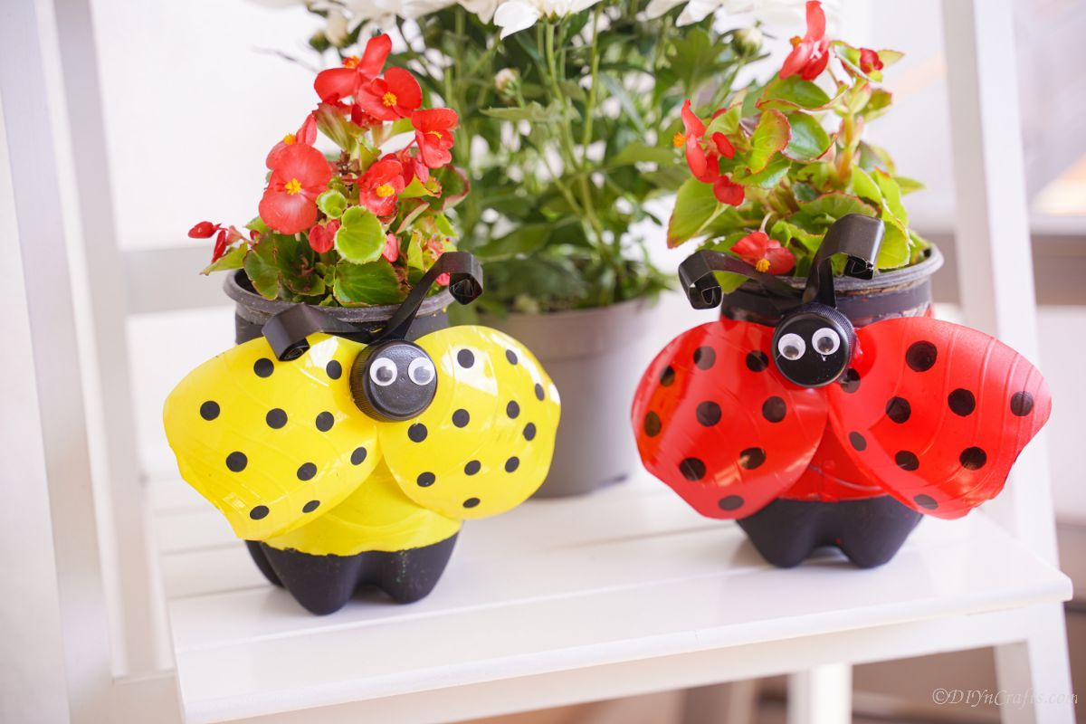 red and yellow ladybug planters on whtie shelf with potted plant in background