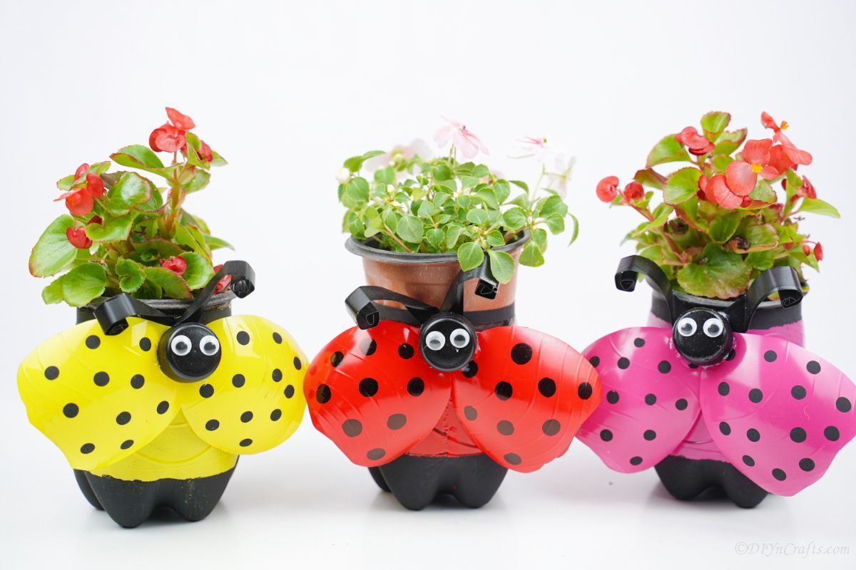 pink red and yellow ladybug planters on white table