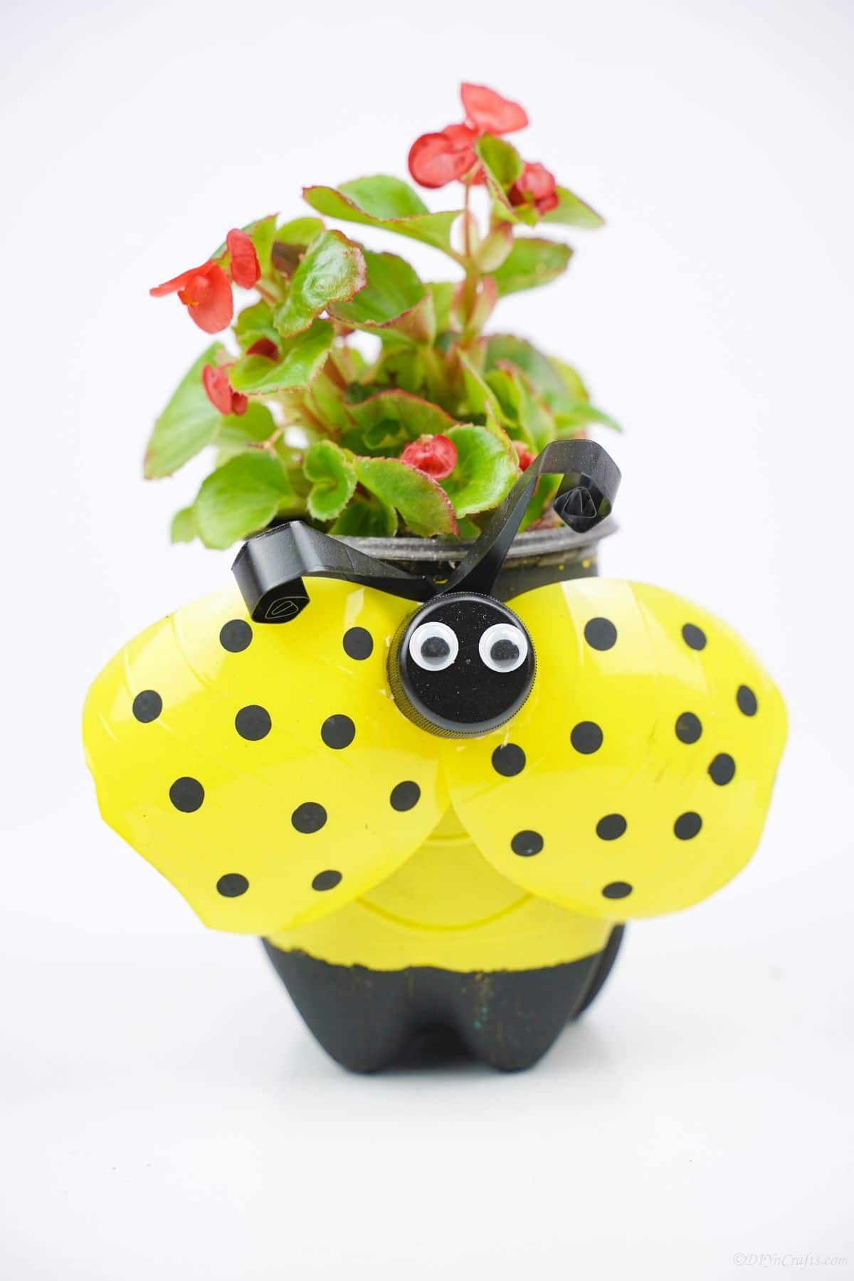plastic bottle ladybug planter painted yellow
