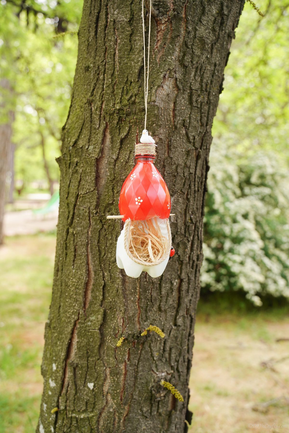 red and white plastic bottle bird nest on tree