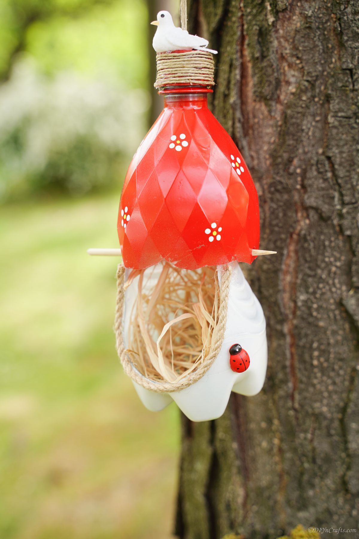 close picture of white and red birds nest on tree
