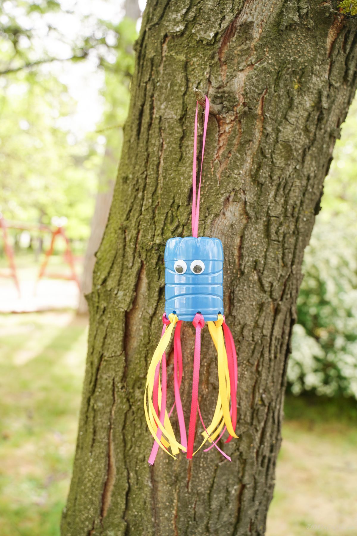 blue pink and yellow plastic bottle hangign in tree