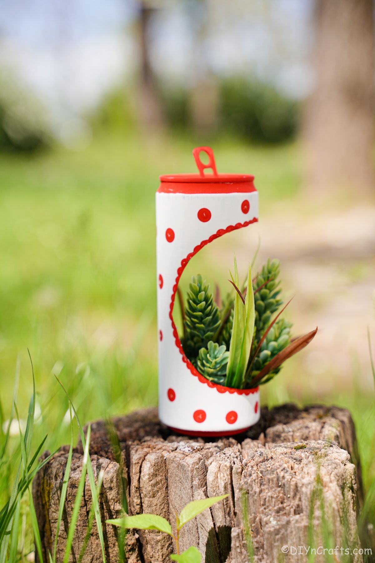 white and red soda can planter on stump