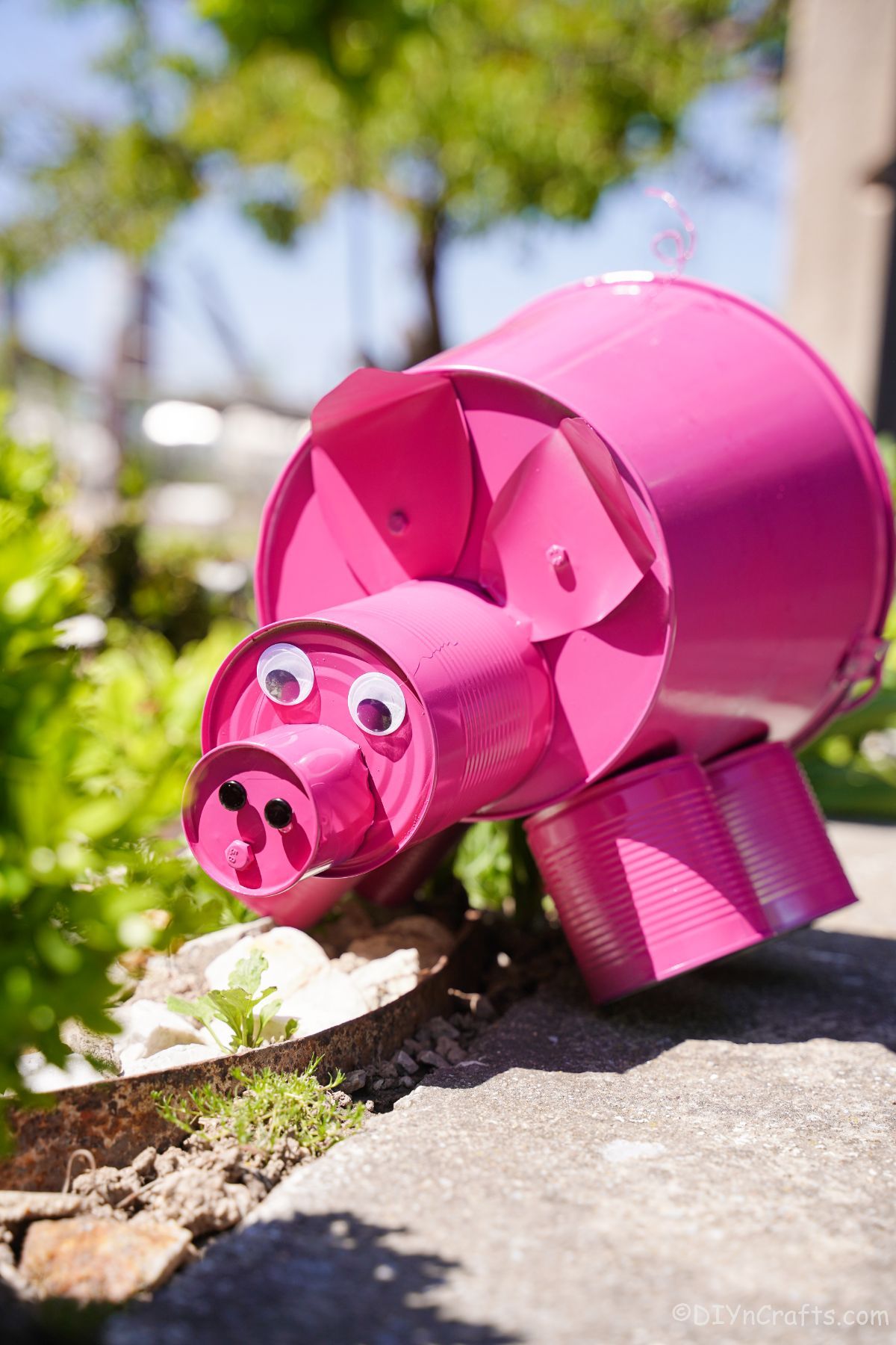 bright pink bucket and tin can pig on concrete by garden