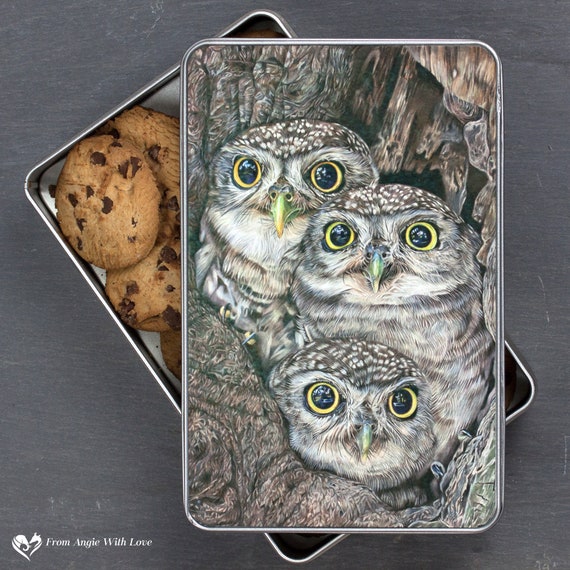 Owl Rectangular Storage Tin | Etsy