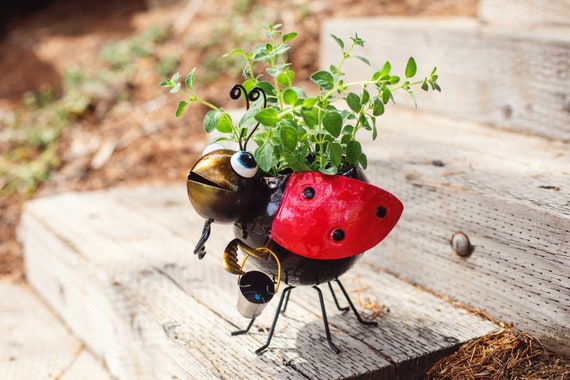 Unique Planter Whimsical Metal Ladybug Succulent Pot for | Etsy