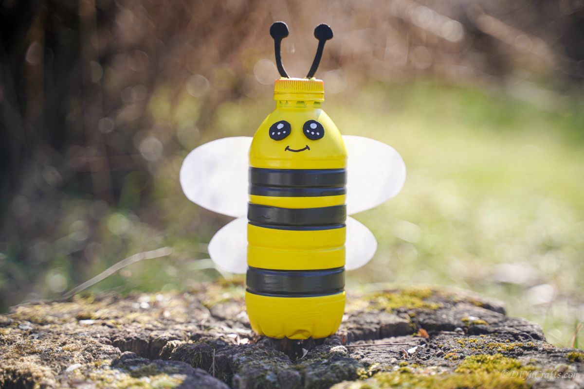 plastic bottle bee on tree stump outside