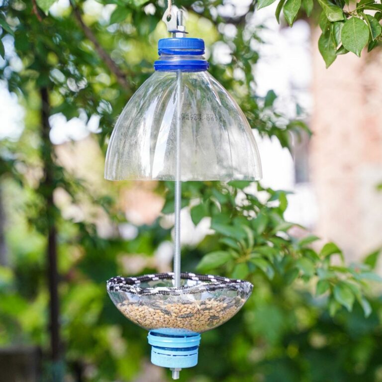 plastic bottle bird feeder in tree