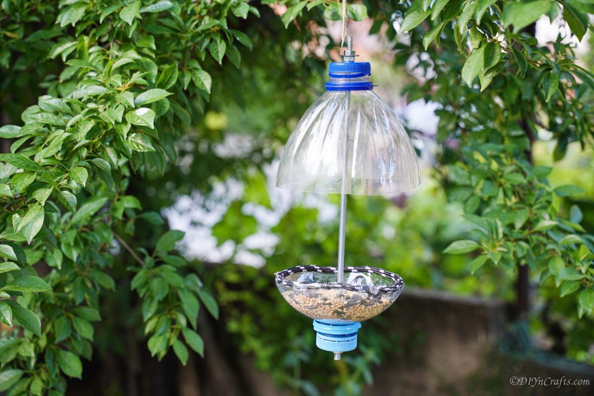 plastic bottle bird feeder with blue lids in tree