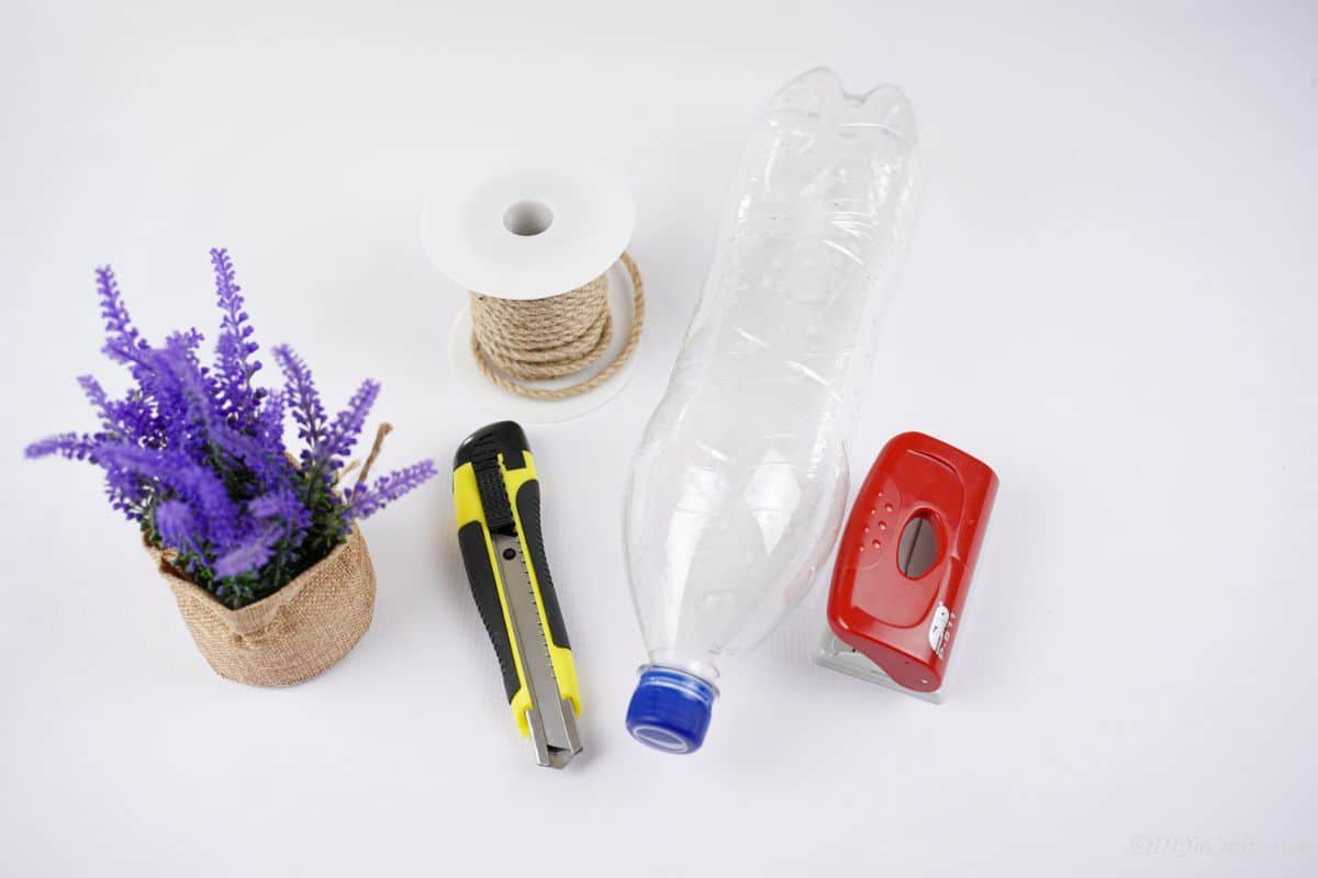 potted plant water bottle and hole punch on white table
